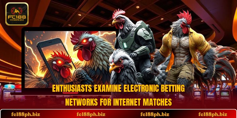 Enthusiasts examine electronic betting networks for internet matches