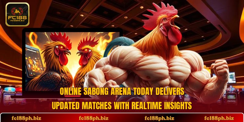 Online sabong arena today delivers updated matches with realtime insights
