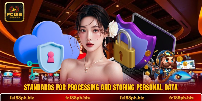 Standards for processing and storing personal data